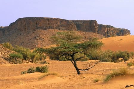موريتانيا.. الأرصاد الجوية تحذر سكان الشمال من ارتفاع ملحوظ لدرجات الحرارة