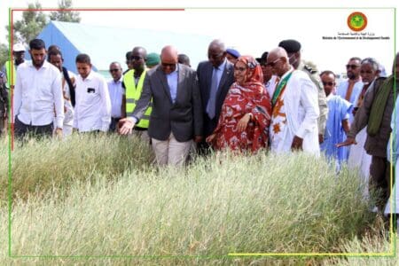 وزيرة البيئة: الحرائق تتسبب في خسائر بقيمة 5 مليارات أوقية جديدة