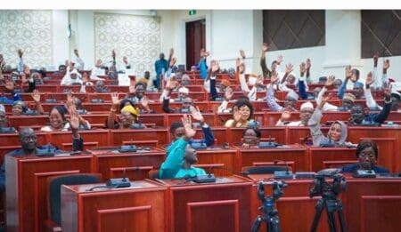 تشاد… البرلمان الجديد يبدأ مهامه بانتخاب رئيسه