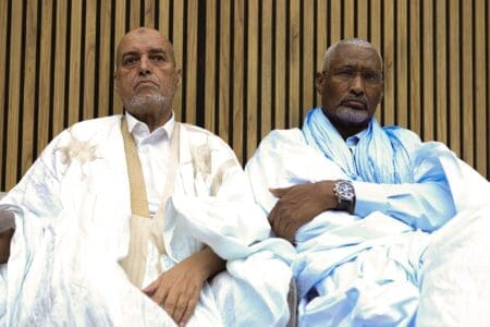ولد ميني يؤسس حزباً لـ”صيانة المكاسب الديمقراطية”