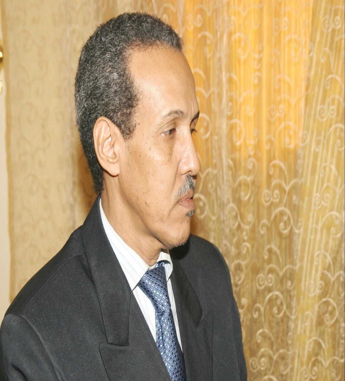 رحلة الشيخ الجليل محمد فال بن باب العلوي إلى الحج / محمد الحافظ بن محم