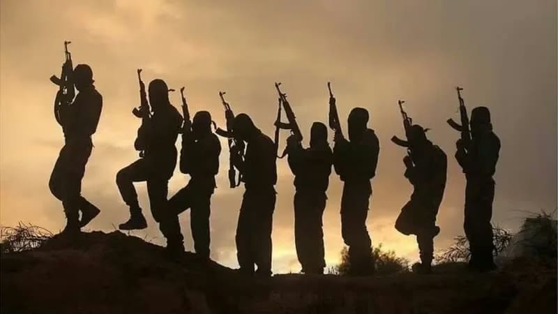 تقارير: نصرة الإسلام توسّع نشاطها من منطقة الساحل نحو خليج غينيا