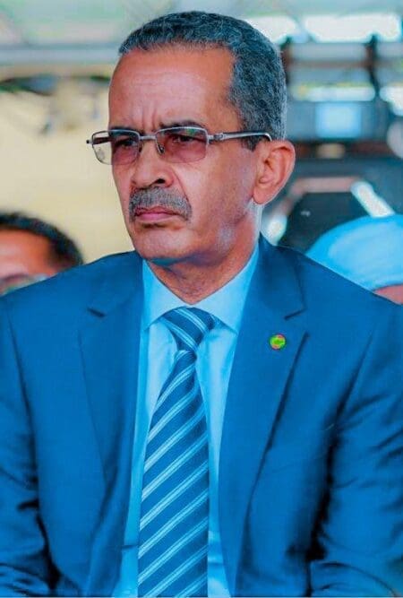 وزارة المعادن: المدن المنجمية محركات أساسية للتنمية الوطنية