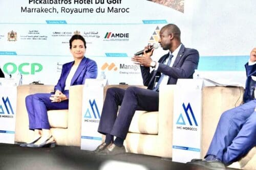 وزير موريتاني: استفادة إفريقيا من ثرواتها المعدنية لا تتجاوز 10%