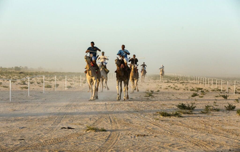 وزارة الشباب تشكل لجنة لتنظيم رياضة سباق الإبل في موريتانيا