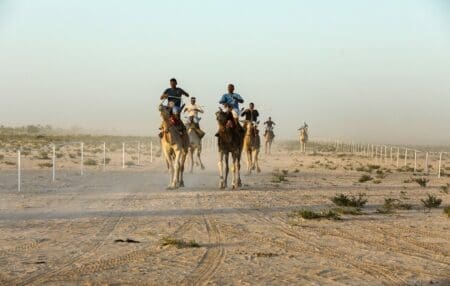 وزارة الشباب تشكل لجنة لتنظيم رياضة سباق الإبل في موريتانيا