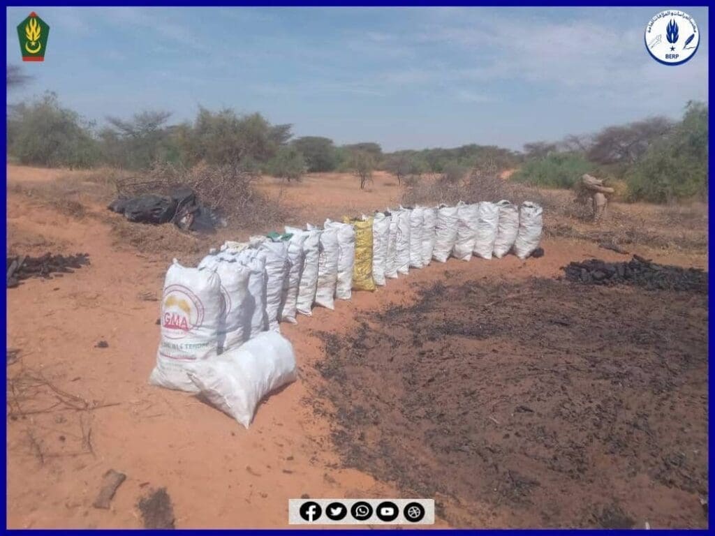 روصو.. القبض على مجموعة تخالف القانون بتحويل أشجار الغابات إلى فحم