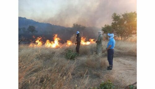 السيطرة على حرائق غابات بعد ثلاثة أيام من جهود الإطفاء في لعصابه