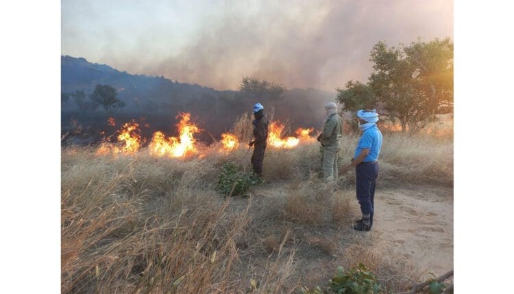 السيطرة على حرائق غابات بعد ثلاثة أيام من جهود الإطفاء في لعصابه