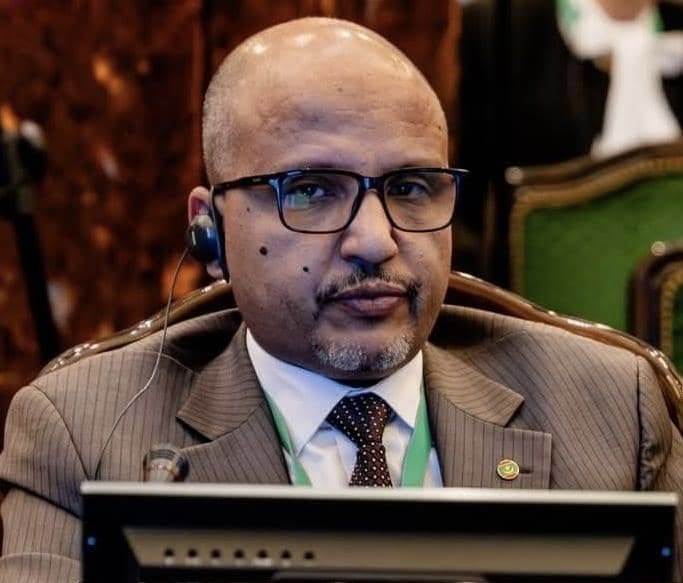 المواطنة خيط الانتماء وجسر التشارك: قراءة في خطاب الرئيس بمقاطعة النعمة